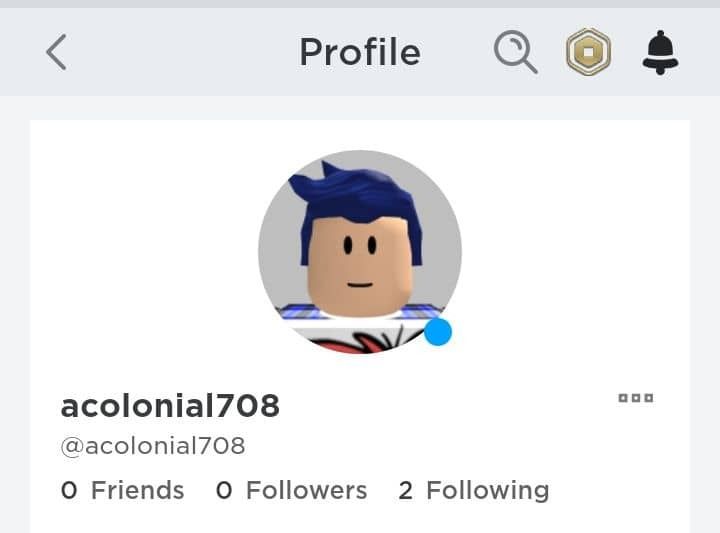 Cheap Roblox Accounts for Sale