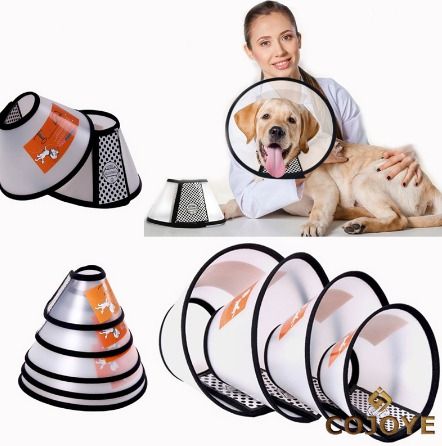 Cone protector for hot sale dogs
