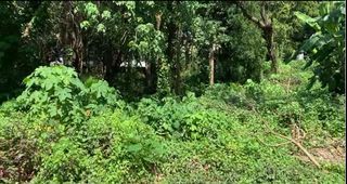 VACANT LOT FOR SALE IN TALI BEACH BATANGAS