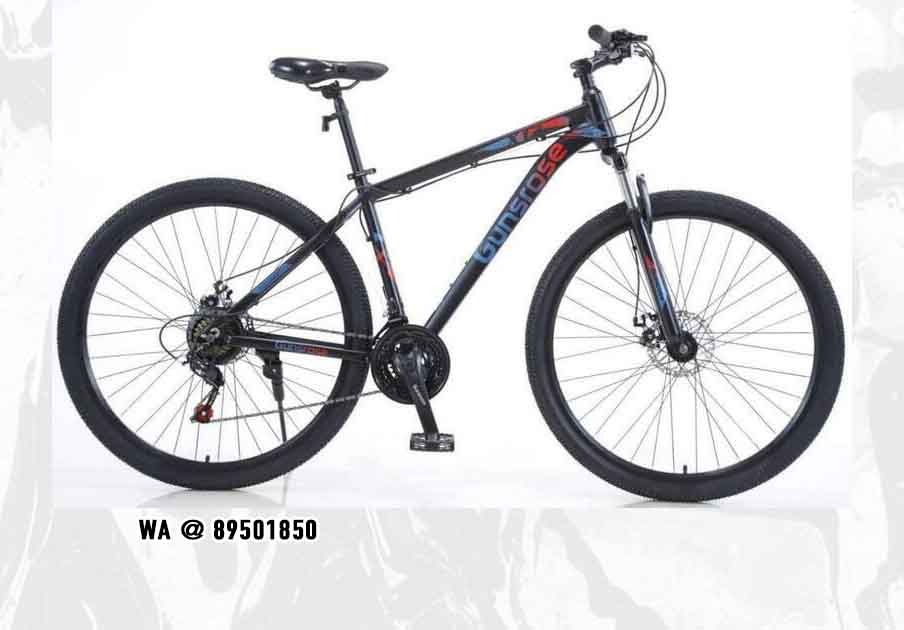 Gunsrose bicycle deals