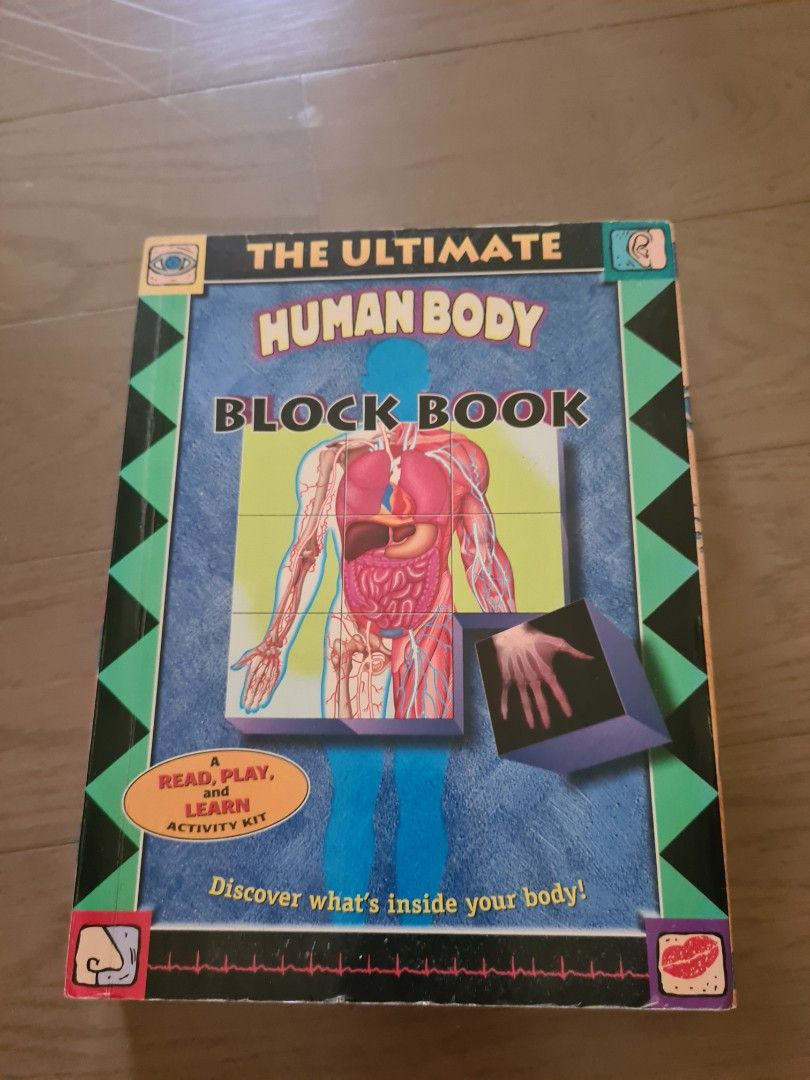 2x Human Body activity book + play set, Hobbies & Toys, Books