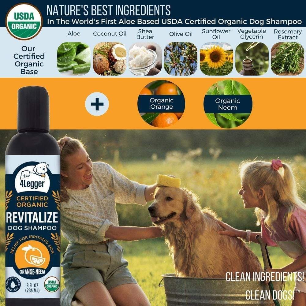 Flea hot sale dermatitis shampoo