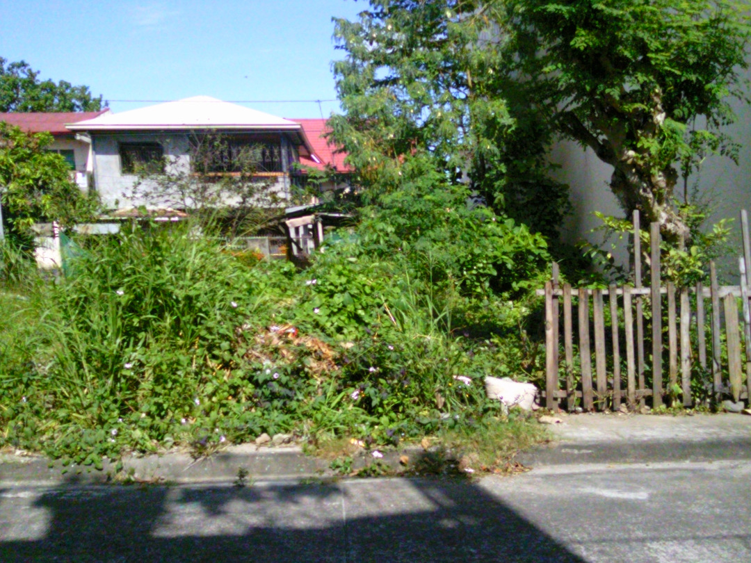 86 Sq. Meter Lot 26 Blk 29 Hawaii St., Landmark Subdivision II, Brgy