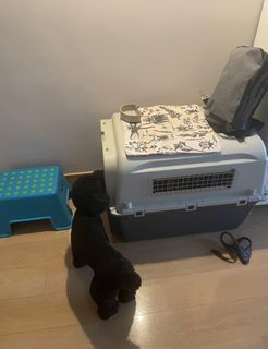 Air travel dog cage