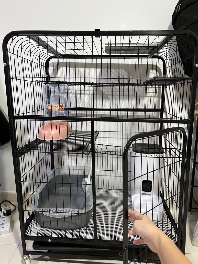 Cat cage