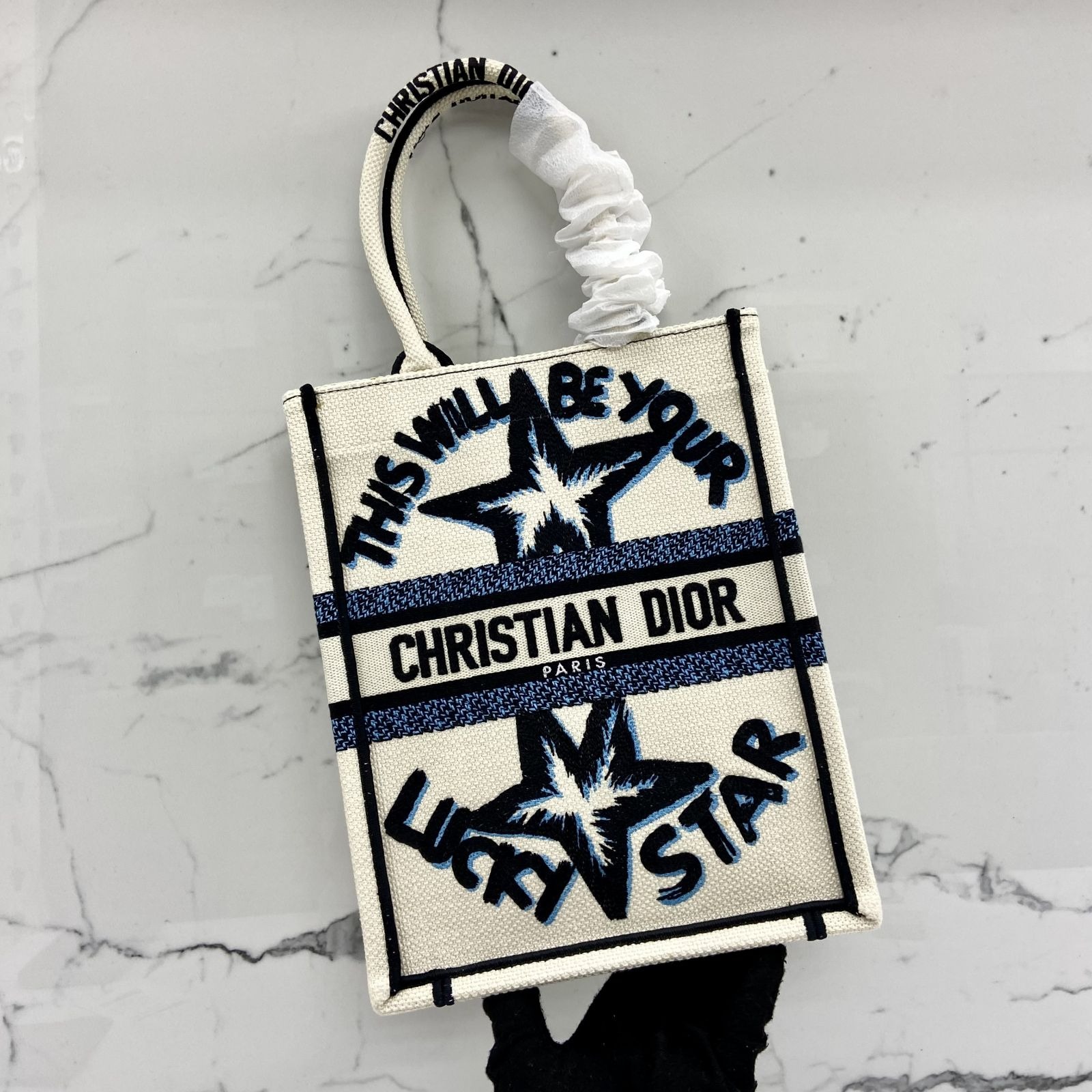 Christian dior vertical book tote deals