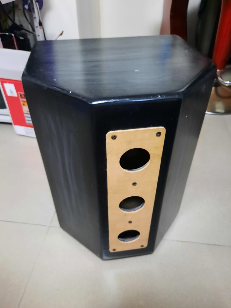 Electric Cajon on Carousell