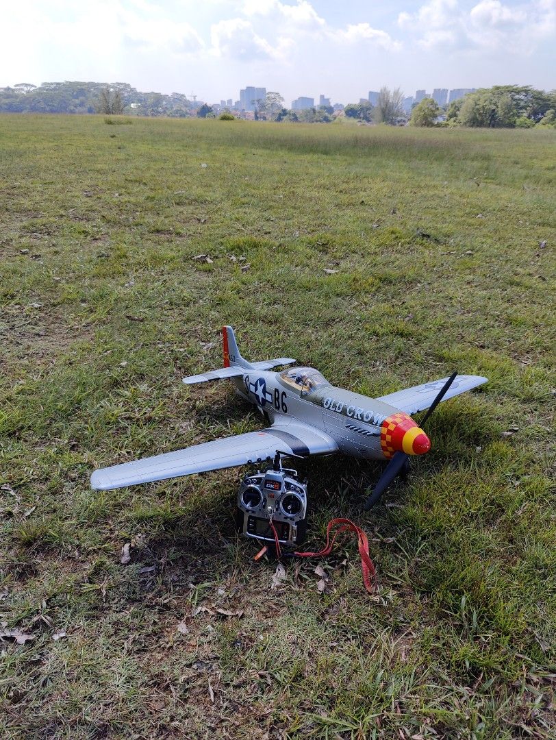 Freewing p51 store