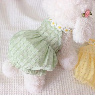 (Category: ) located in . Submitted by meifang5656 (Listing ID 1248566022, Image 1). Description: .