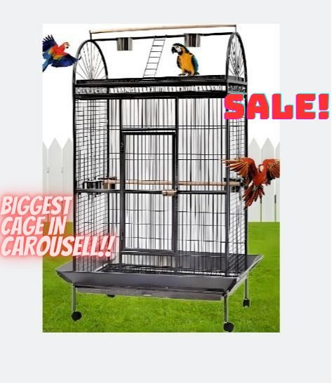 Used large shop parrot cages sale