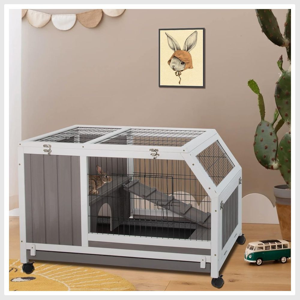 Used bunny cages shop