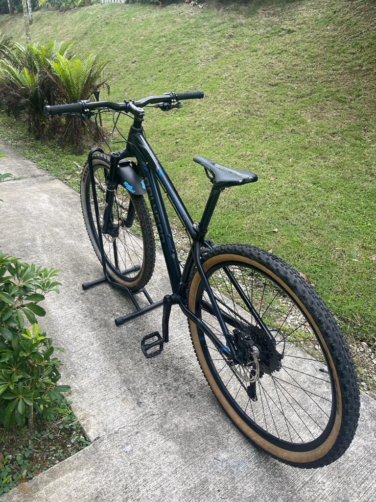 Frame siskiu 6 best sale