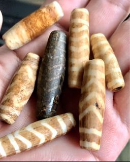 Pumtek Fossil Wood Dzi Beads