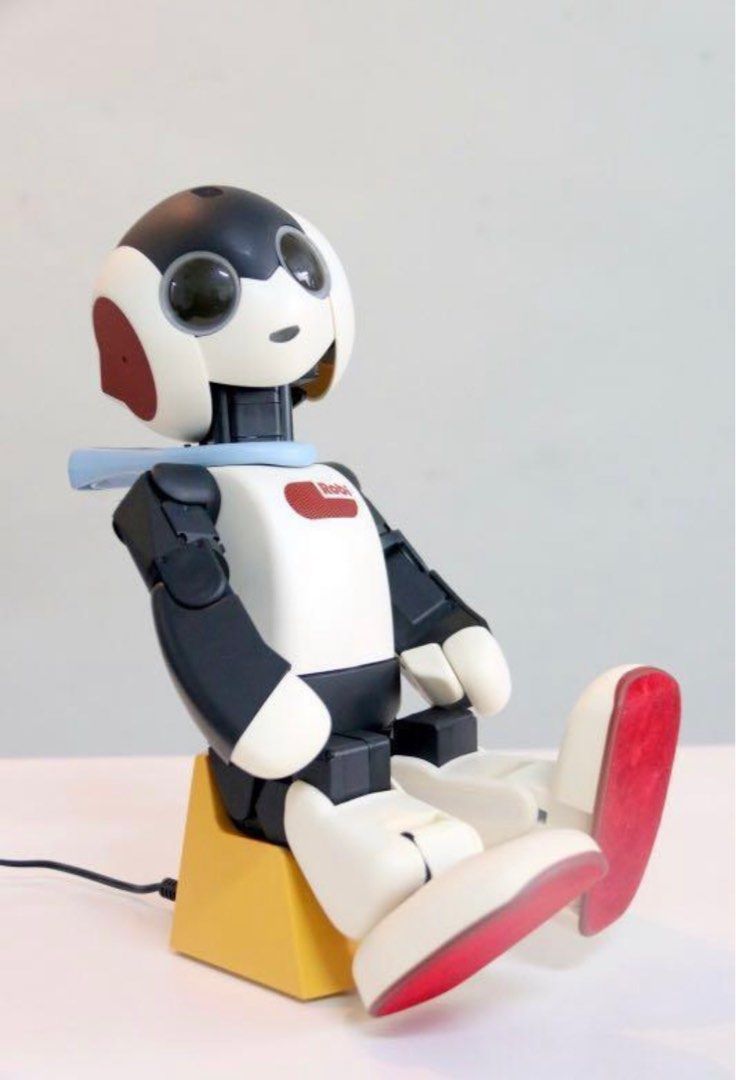 Robi robot top for sale
