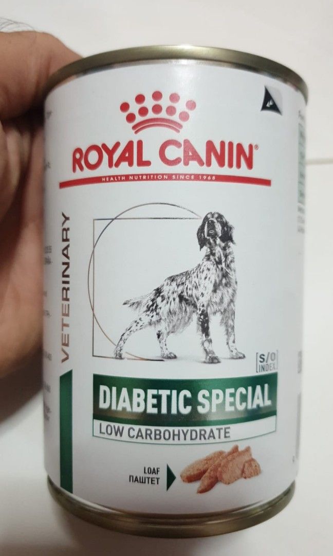 Royal Canin Diabetic Dog Wet Food