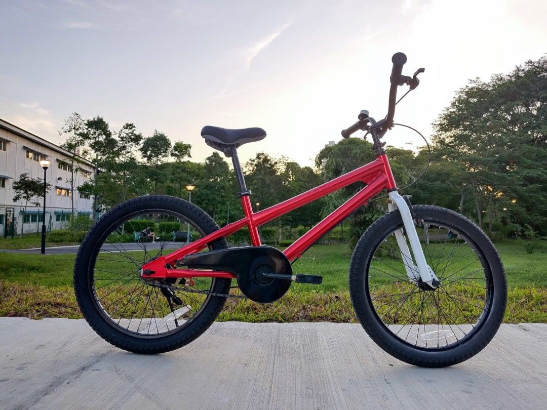Royalbaby BMX freestyle 20