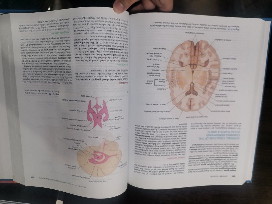 Snell's neuroanatomy (Category: Textbooks) located in Valenzuela. Submitted by cesellsout (Listing ID 1248522790, Image 3). Description: 📣 For Sale: Snell's Neuroanatomy Reprint po ito pdf Mura na po ito compare magpaprint na colored 2pesos/page RFS: emptying shelf po with few higlights as posted shipping via J&T, lalamove muna po MOP: Gcash, cash, bdo/bpi Please feel free to chat for more info. Salamat po 😃.