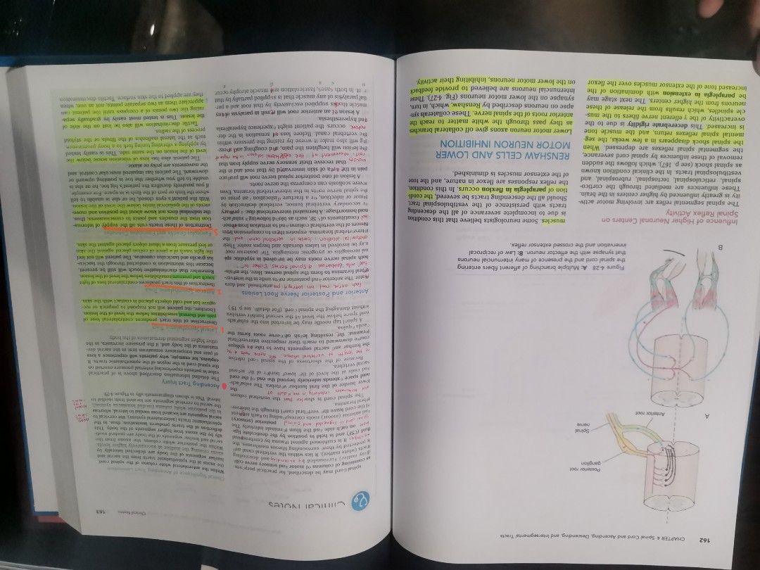 Snell's neuroanatomy (Category: Textbooks) located in Valenzuela. Submitted by cesellsout (Listing ID 1248522790, Image 2). Description: 📣 For Sale: Snell's Neuroanatomy Reprint po ito pdf Mura na po ito compare magpaprint na colored 2pesos/page RFS: emptying shelf po with few higlights as posted shipping via J&T, lalamove muna po MOP: Gcash, cash, bdo/bpi Please feel free to chat for more info. Salamat po 😃.