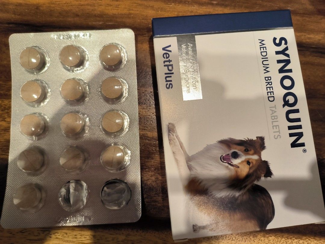 Synoquin medium breed Pet Supplies Health Grooming on Carousell