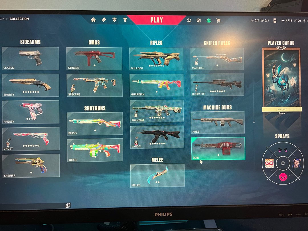 Compte Valorant – 70 Skins + Riot Gun Buddy, PC
