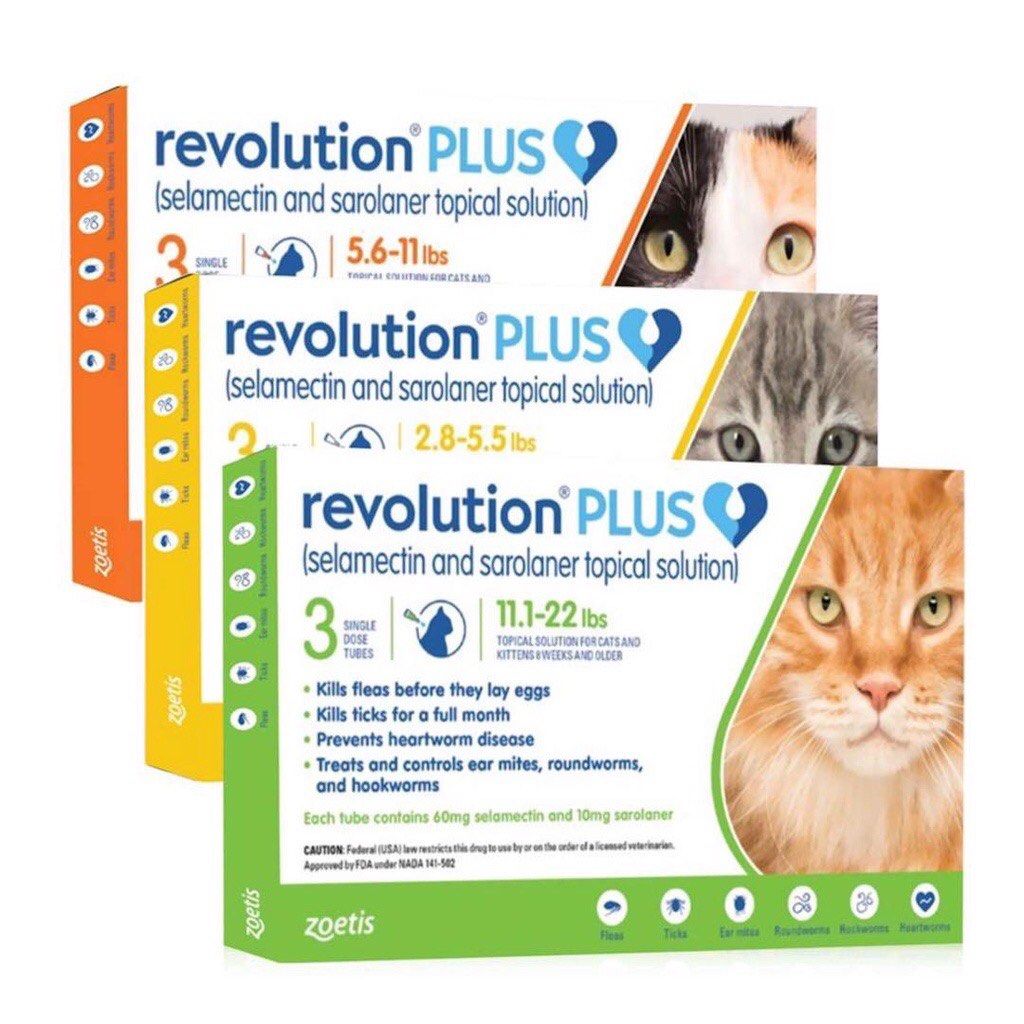 Revolution anti best sale flea for cats