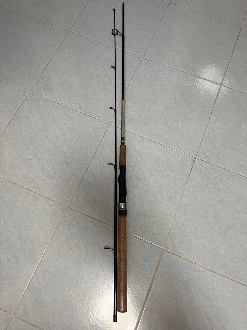 Alivio fishing rod, Sports Equipment, Fishing on Carousell