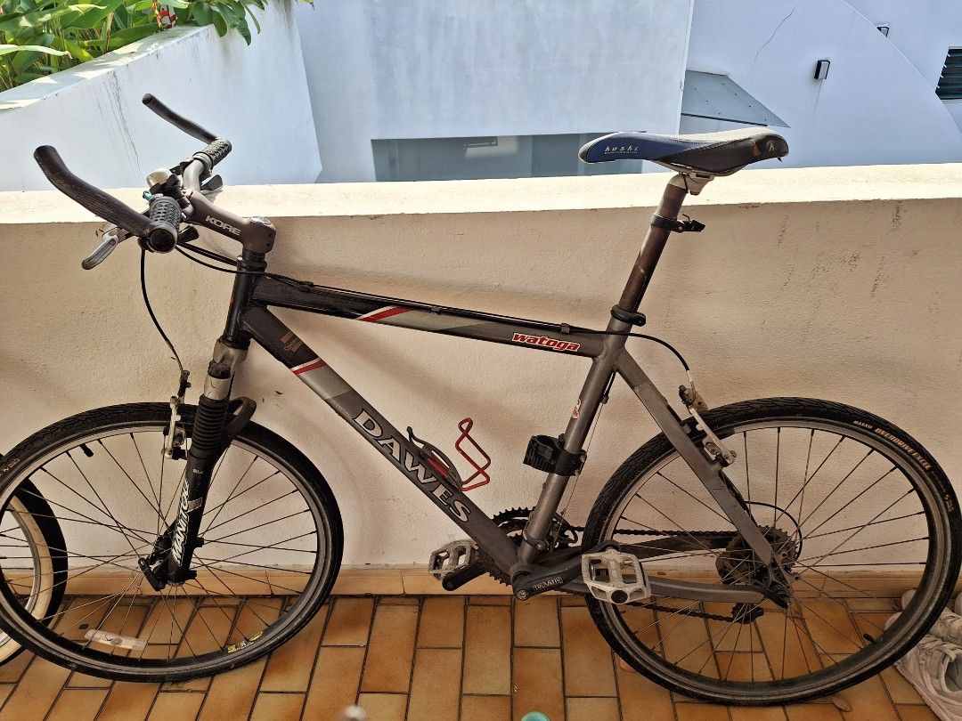 Dawes watoga top mountain bike