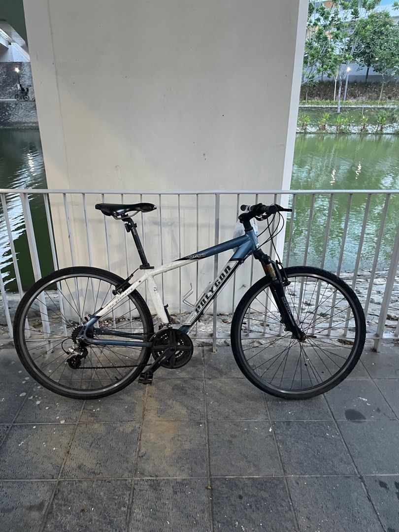 Polygon Vintage commuter
