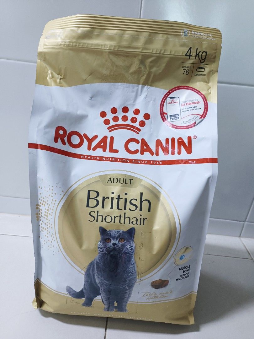 Royal Canin British Shorthair 4kg