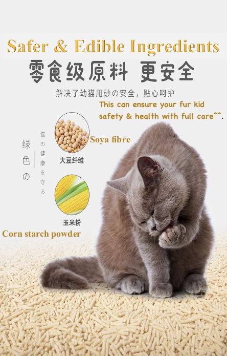 Edible cat litter online