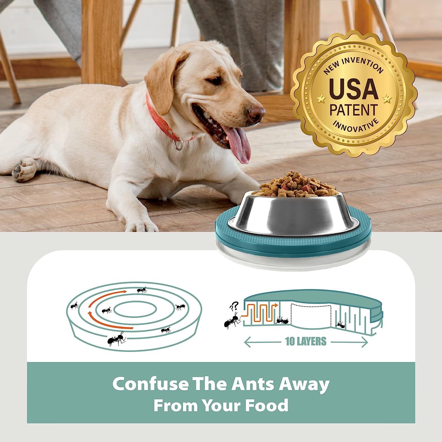 Anti ant pet food bowl clearance