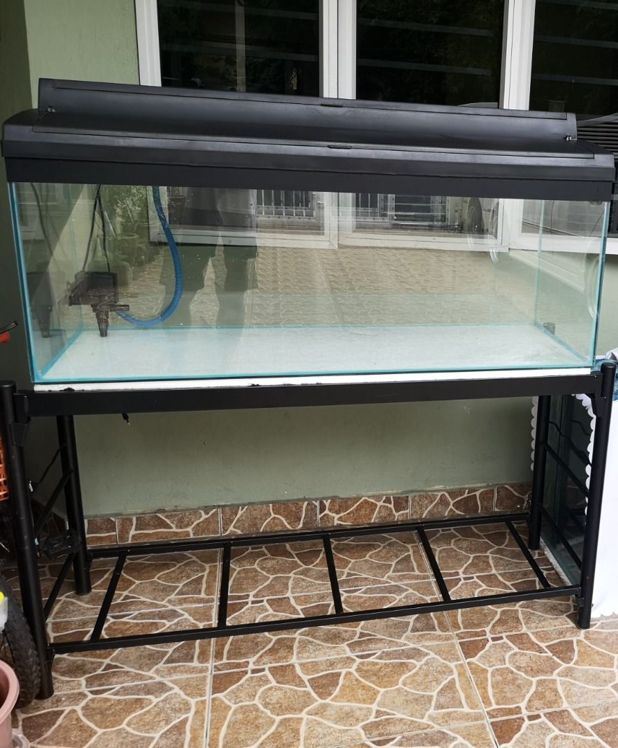 4 best sale feet aquarium