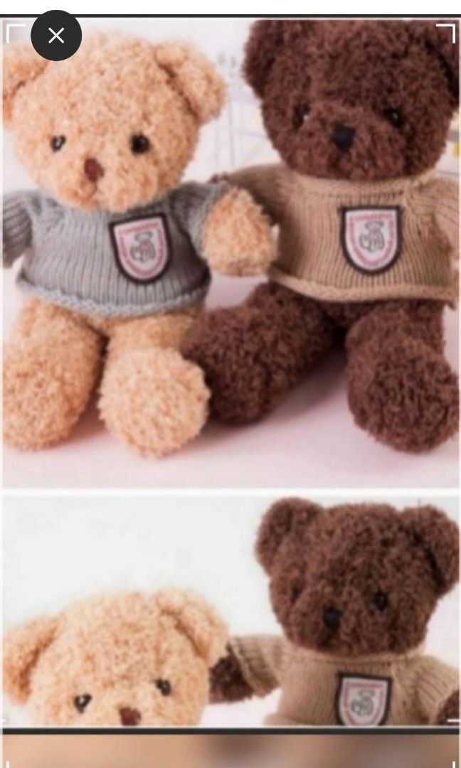 Recordable teddy bear target discount