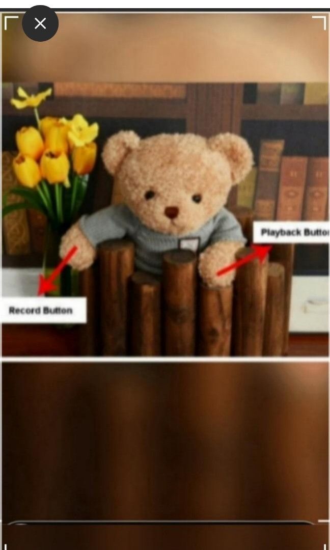 60 Secs Voice recordable teddy plush
