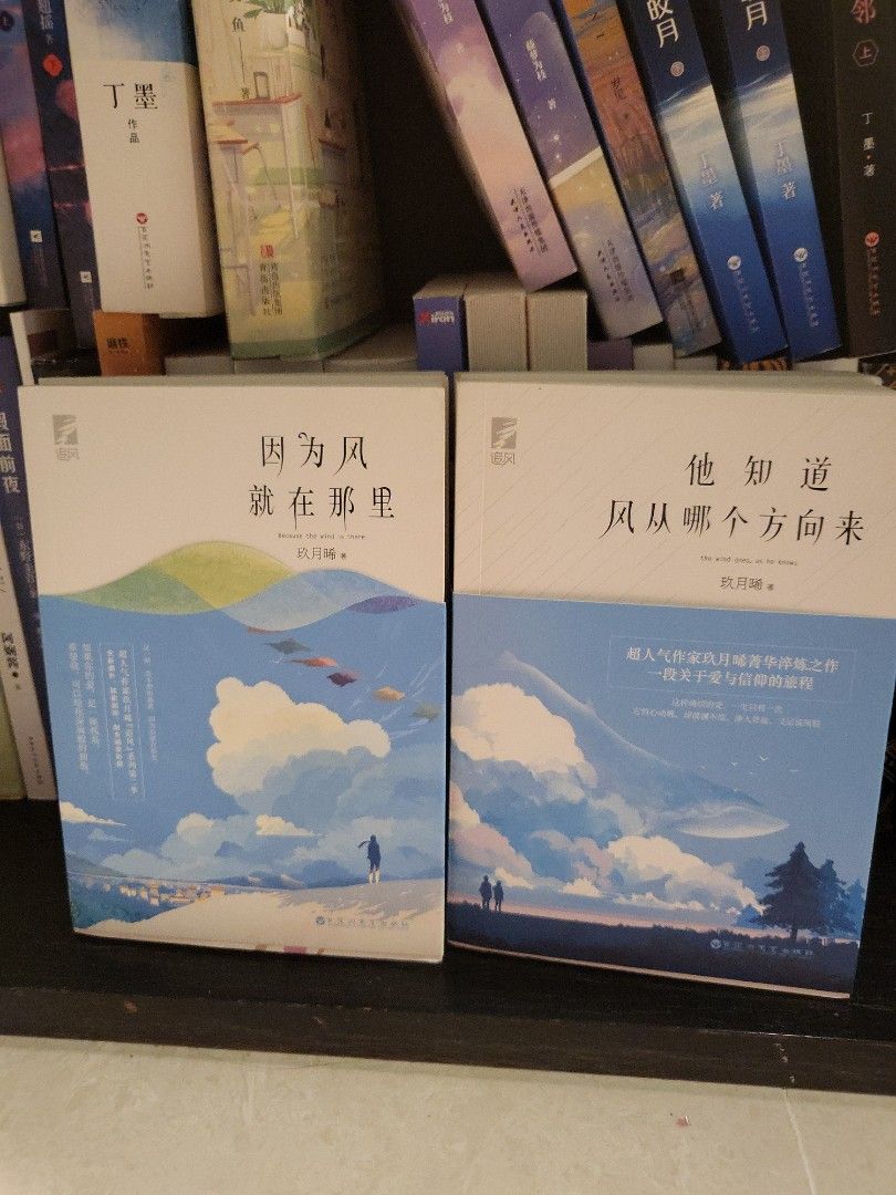 他知道风从哪个方向来or 因为风就在那里- 玖月晞, Hobbies & Toys, Books & Magazines, Fiction &  Non-Fiction on Carousell