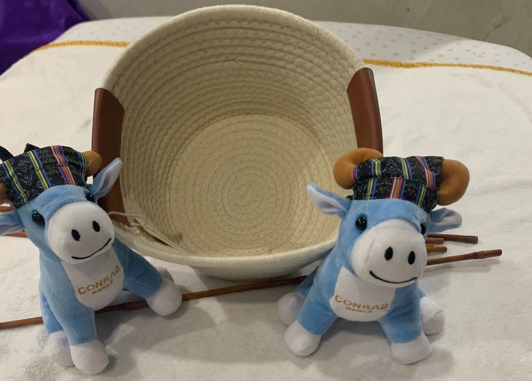 ✨ MINISO Basket organizer (Category: Storage Boxes & Baskets) located in Marikina City. Submitted by HappyTwinStore (Listing ID 1249007890, Image 2). Description: > 10.5 x 9inches (depth 5inches) > 2 pcs. stuffed toys included > brand new with tag.