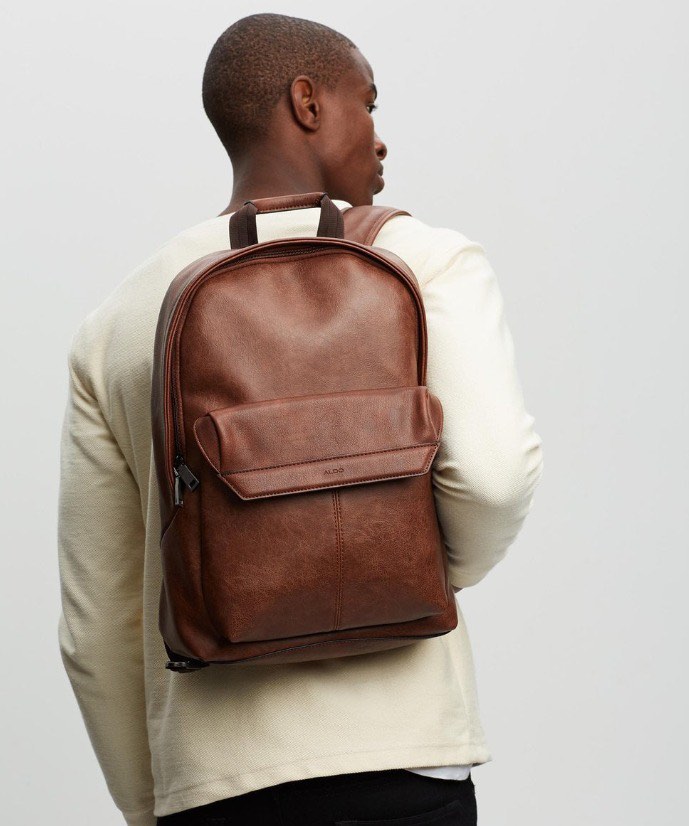 Aldo sales lucidus backpack