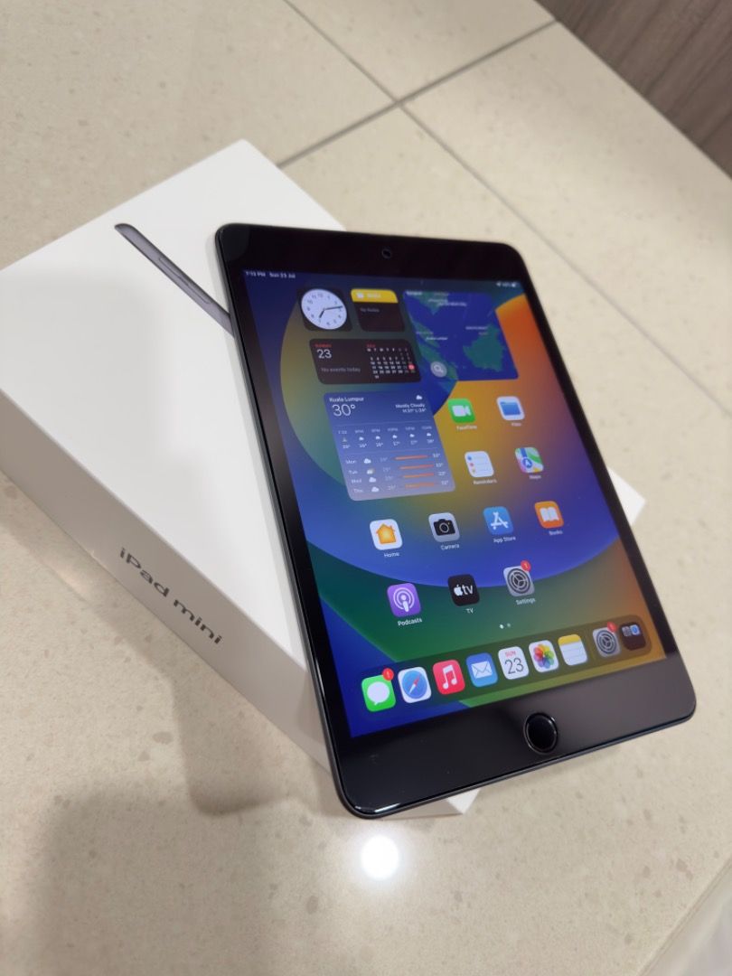 Apple iPad Mini 5 256GB Wi-Fi + Cellular (Full Set), Mobile Phones
