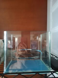 (Category: ) located in . Submitted by gwendy21 (Listing ID 1248920088, Image 1). Description: .