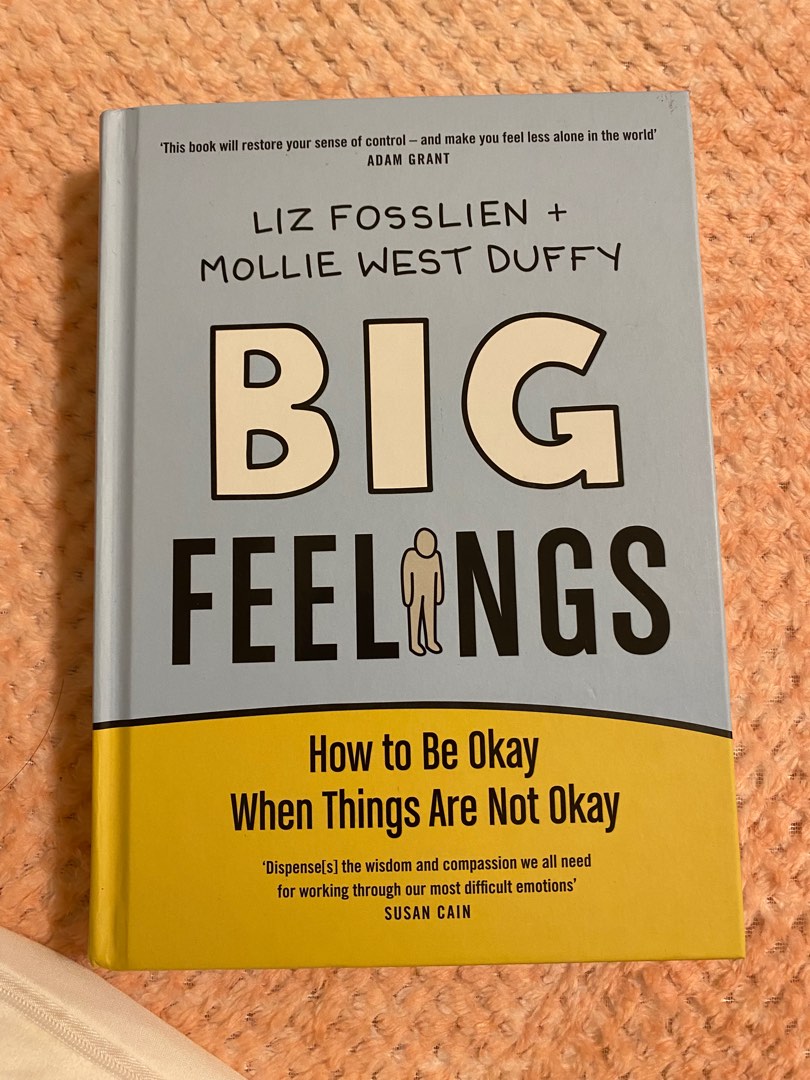 Big Feelings by Liz Mollie (Hard Cover) Hobbies Toys Books
