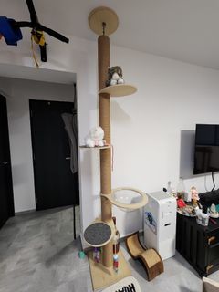 (Category: ) located in . Submitted by scrups (Listing ID 1248952997, Image 1). Description: .