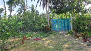 Farm Land with Vacation House and Bahay Kubo for Sale