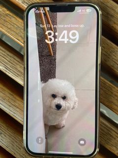 (Category: ) located in . Submitted by gabo27 (Listing ID 1248889088, Image 1). Description: .