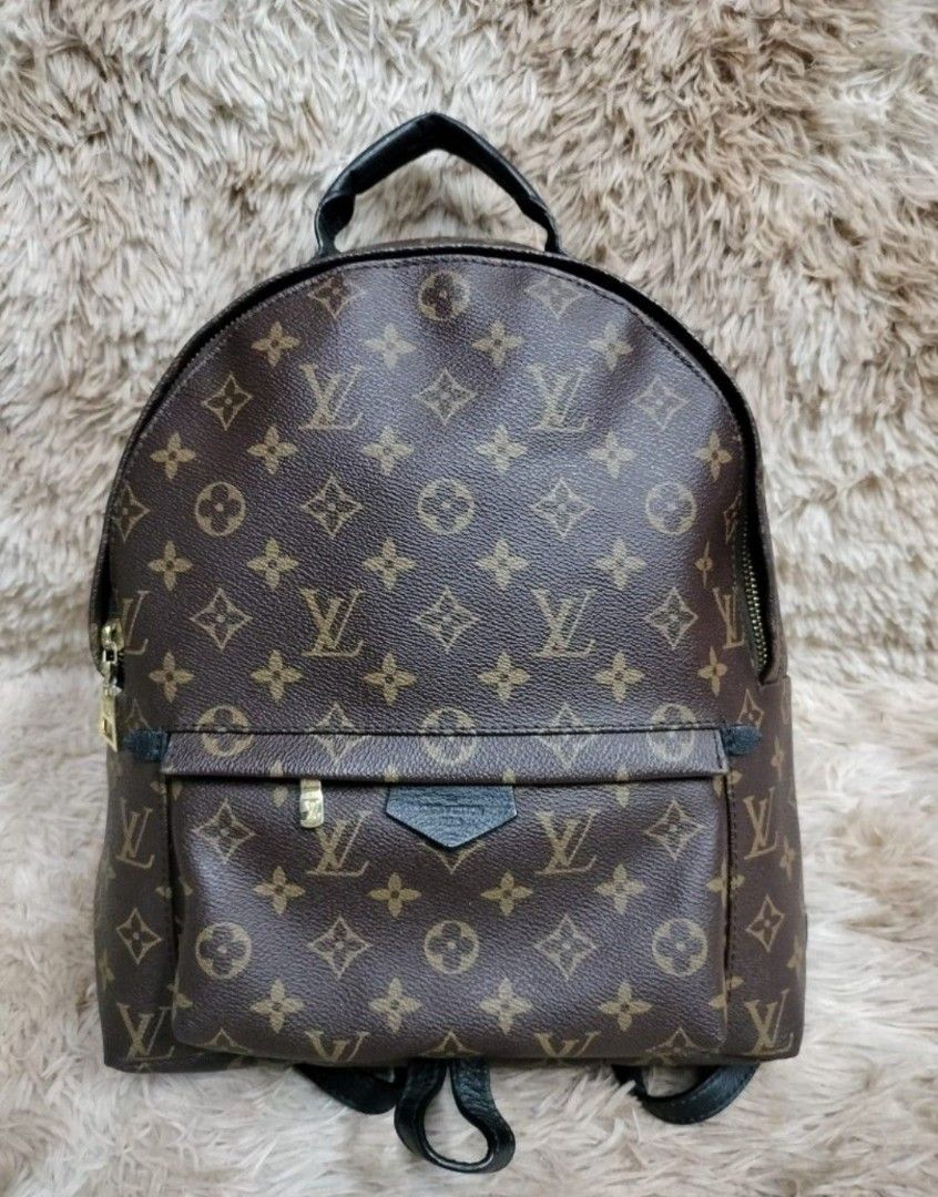 Louis Vuitton, Bags, Louis Vuitton Palm Springs Mm Monogram Backpack