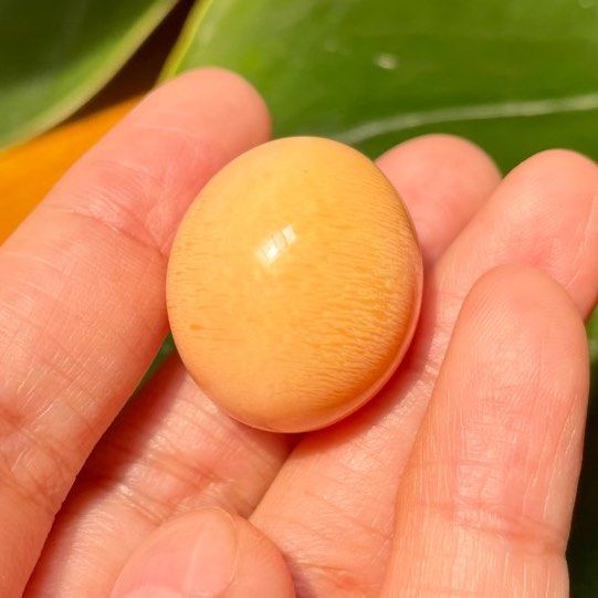 Natural 76.6 carat Melo Melo Pearl