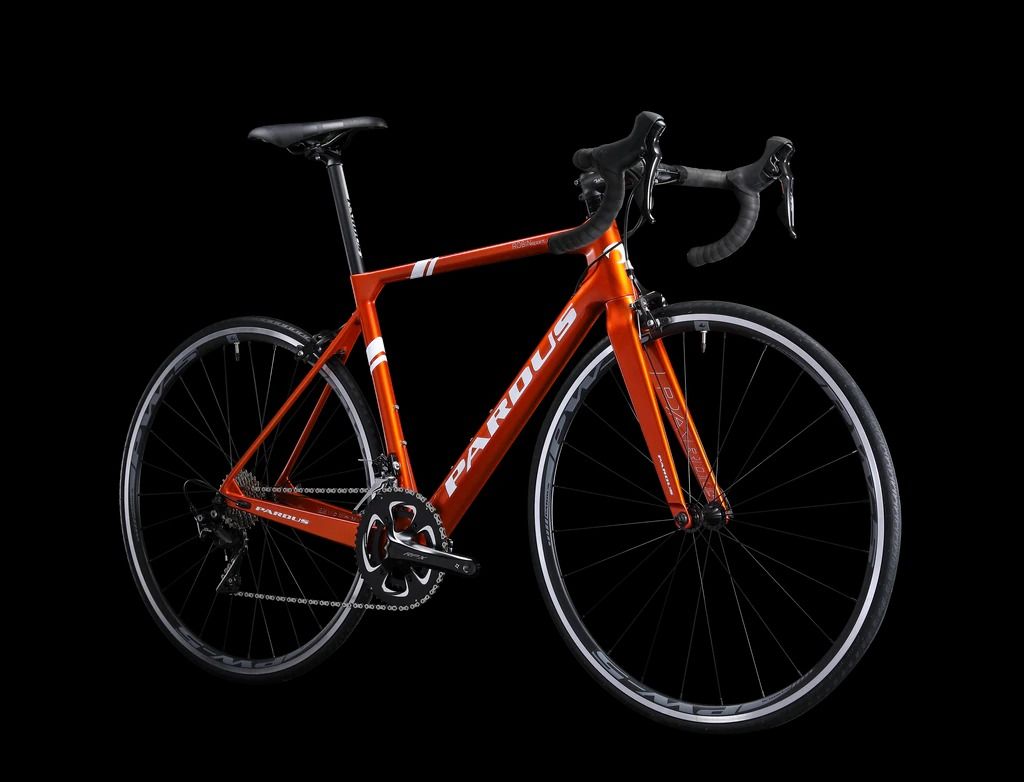 Pardus Robin Sport / Carbon Frameset, Sports Equipment, Bicycles