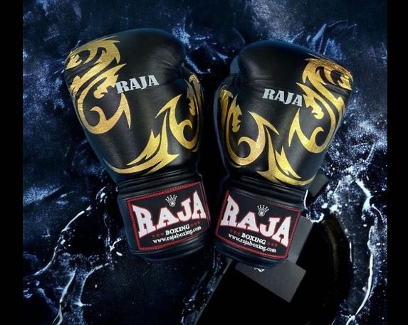 Raja Boxing Gloves Muay Thai Gloves Best Training Gloves Venum MMA Evolve Kickboxing Gloves handwraps Fitness Training