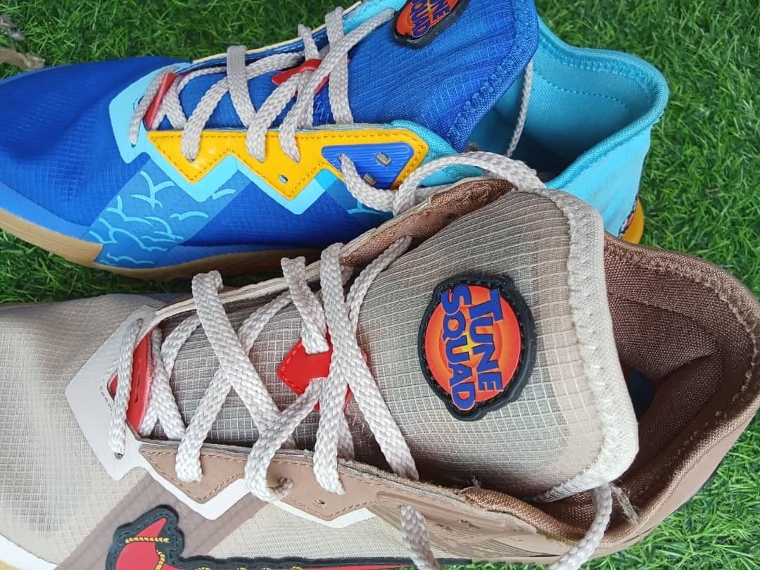 wile e coyote lebron shoes