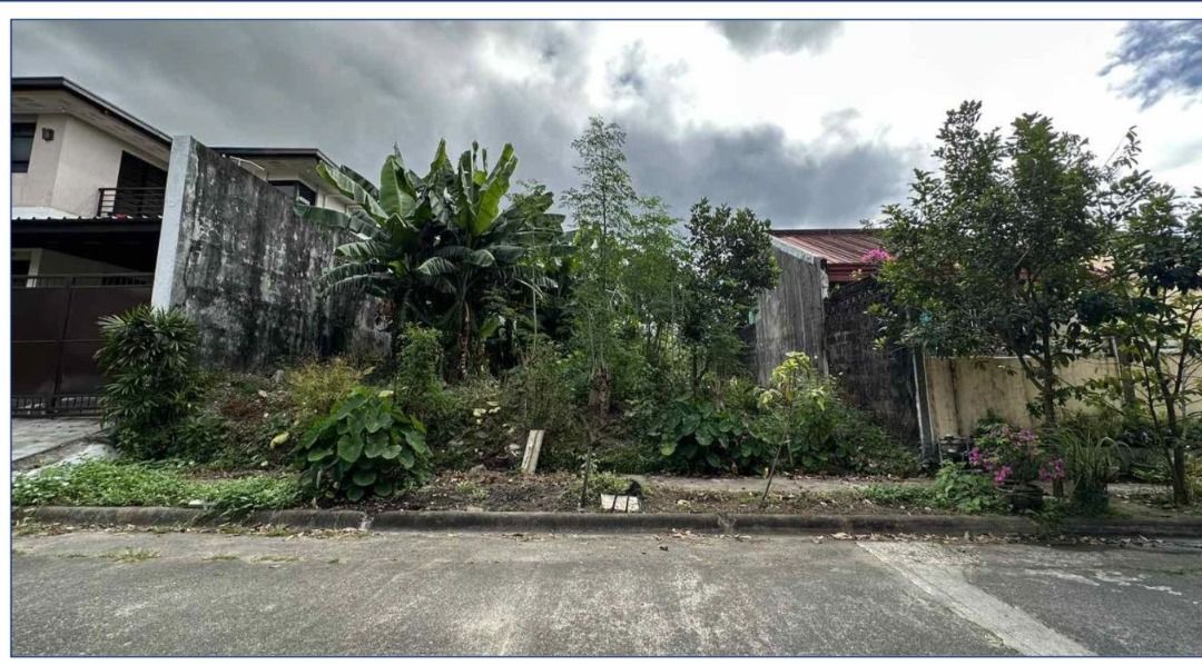 300 SQM Vacant Lot in Sacred Heart Village, Quezon City on Carousell