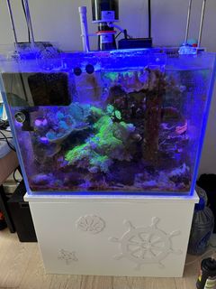 （分類：）位於 。 由 Myorick 提交（商品編號 1249092402，圖片 1）。簡介： 。